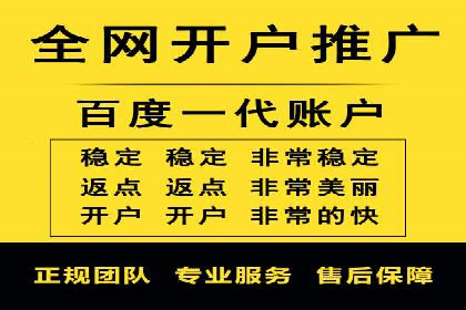 竞价开户推广案例营销策略